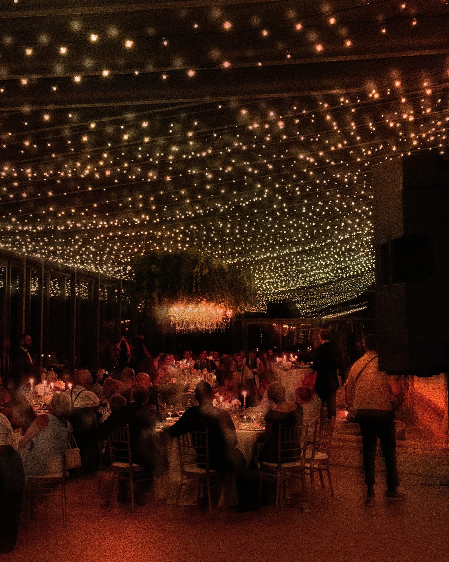 Dinner under a ceiling of fairy lights